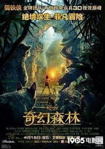 奇幻森林在线观看,探险之旅，在线奇遇记